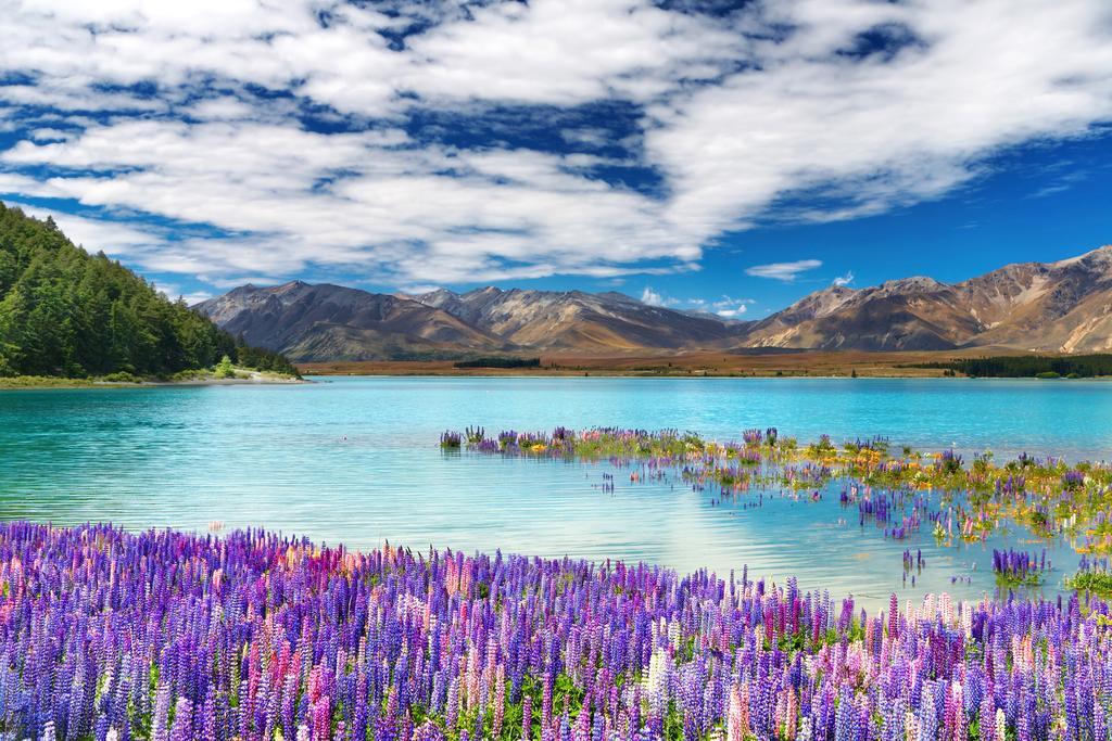 Вилла Alpine Views Burkes Pass Экстерьер фото